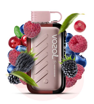Vozol Gear 50000 Mixed Berry (Мікс ягід) vg50000107 фото