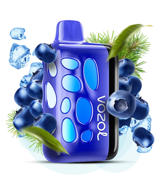 Vozol Rave 40000 ​Blueberry Ice (Чорниця з прохолодою) vr40000100 фото
